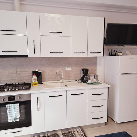 Mirvana Apartments Allure Studio 蒂米什瓦拉 外观 照片