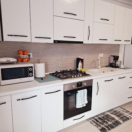 Mirvana Apartments Allure Studio 蒂米什瓦拉 外观 照片