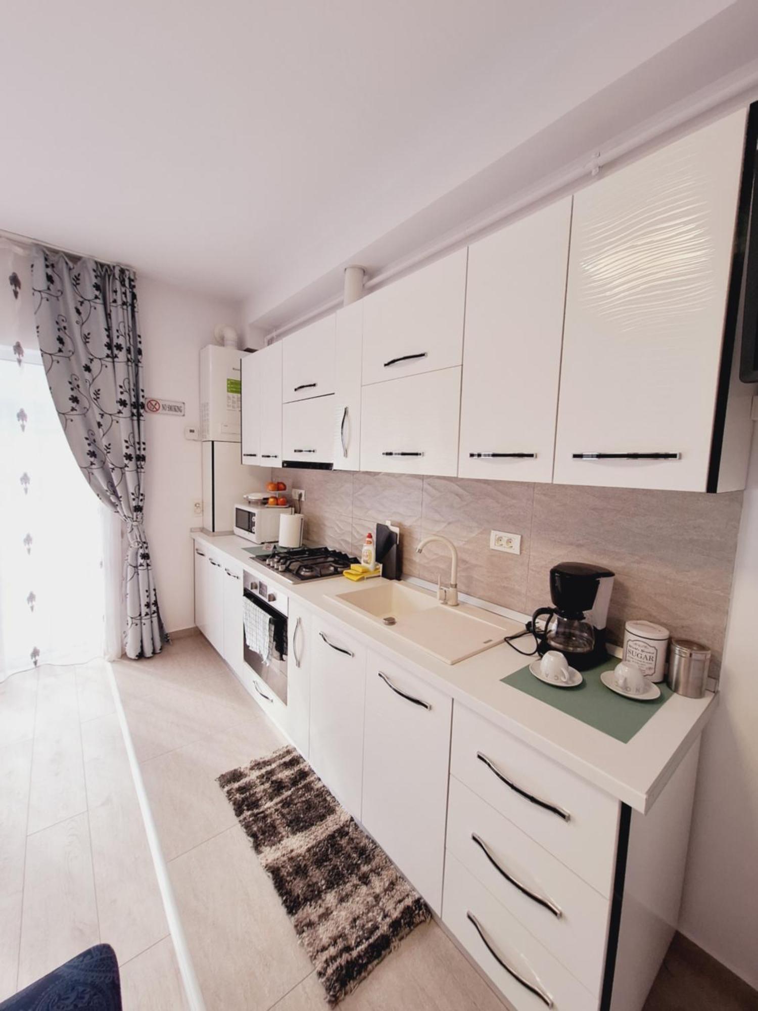 Mirvana Apartments Allure Studio 蒂米什瓦拉 外观 照片