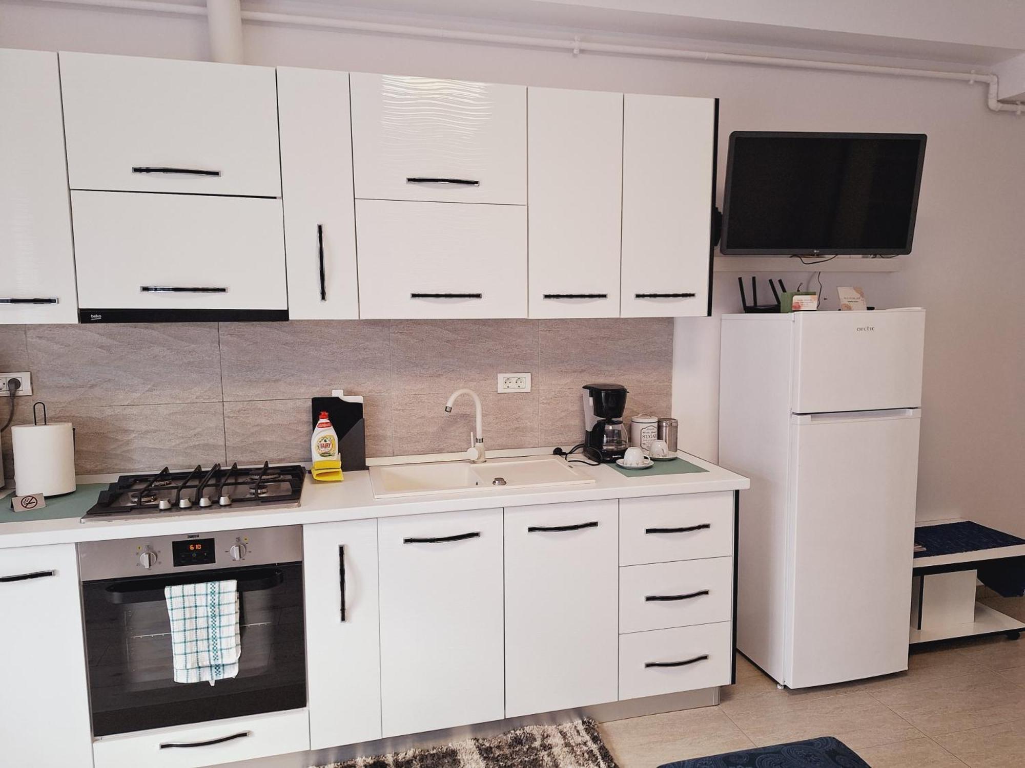 Mirvana Apartments Allure Studio 蒂米什瓦拉 外观 照片