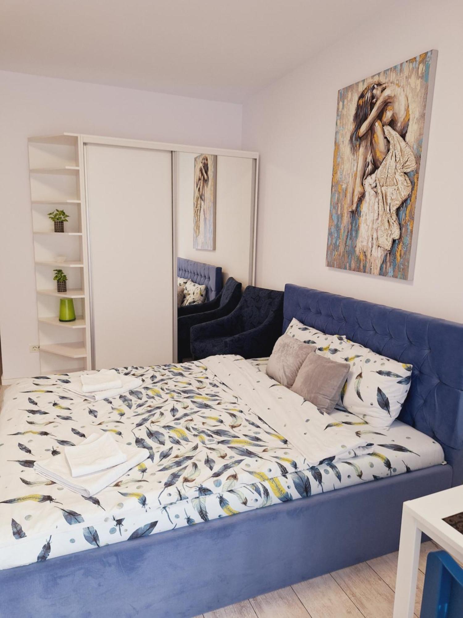 Mirvana Apartments Allure Studio 蒂米什瓦拉 外观 照片
